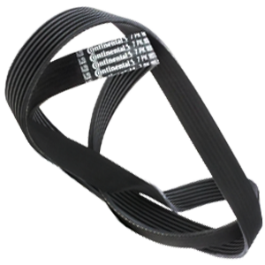 Correas Polyv